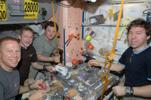 Nasa Food E3live