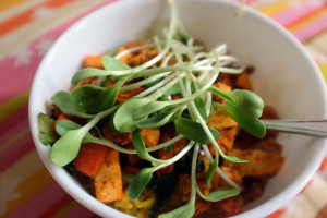 sunflower sprouts meal candida