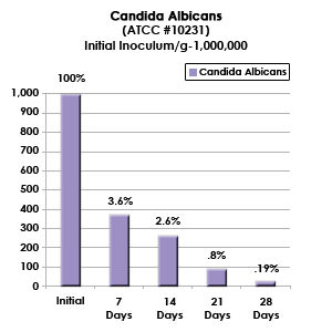 candida supplements probiotics research